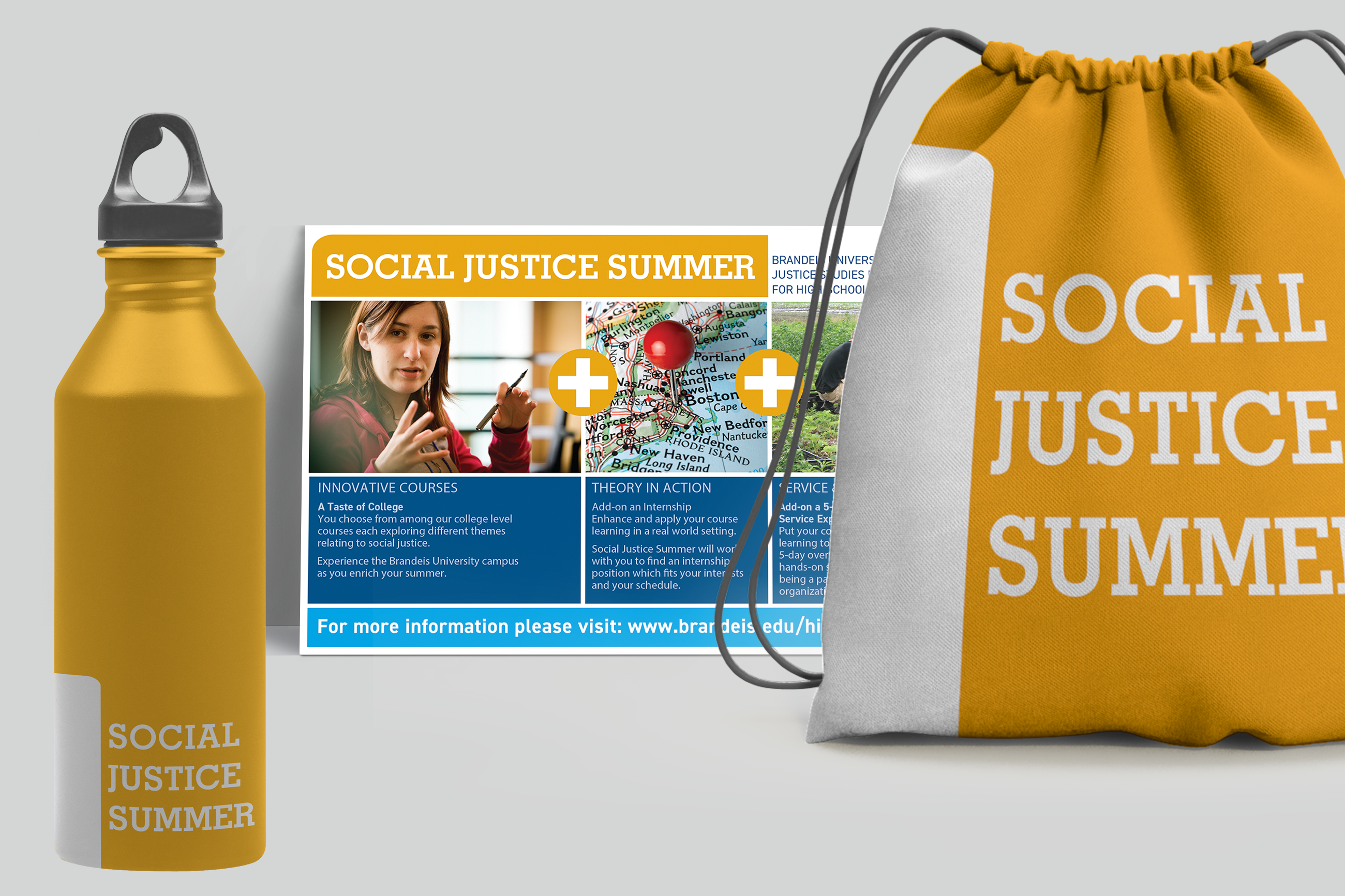 Brandeis University Logo Social Justice Summer Kit. Plural Brand Strategy and Design